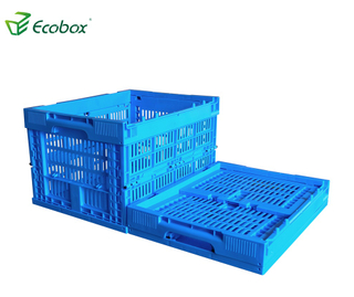 صندوق متحرك قابل للطي من البلاستيك القابل لإعادة الاستخدام من Ecobox للنقل